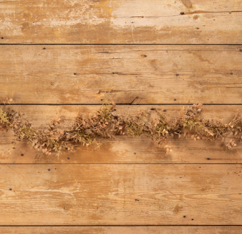 EUCALYPTUS, ROSEMARY & KNOTWEED COLLECTION