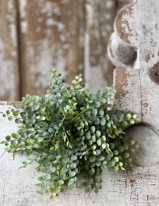 Cherub Vine Collection