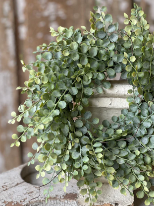 Cherub Vine Collection