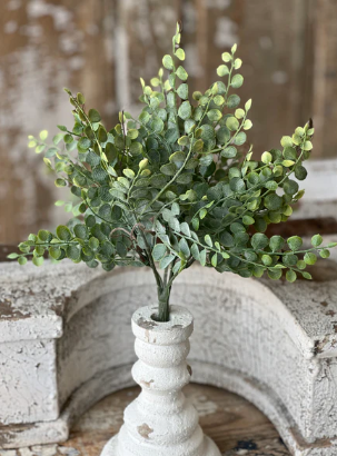 Cherub Vine Collection
