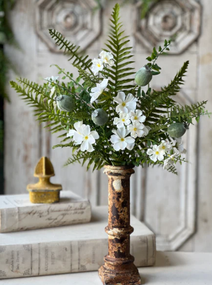 Frippery Fern Collection