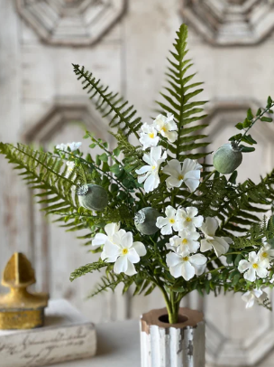 Frippery Fern Collection