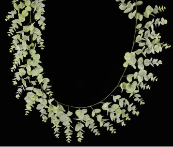 Spiral Eucalyptus Collection