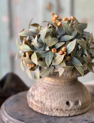 Trifle Blooms Collection