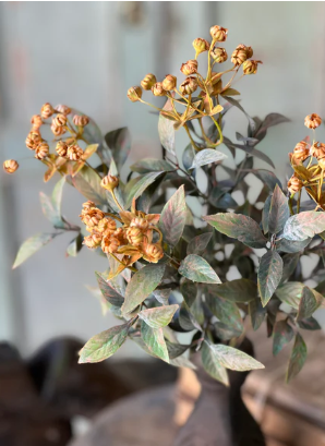 Trifle Blooms Collection