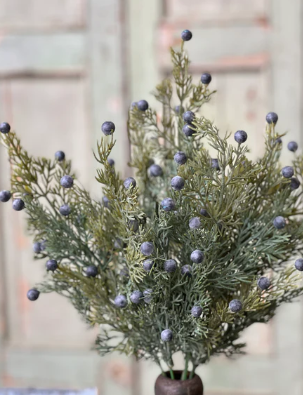 Midnight Juniper Collection