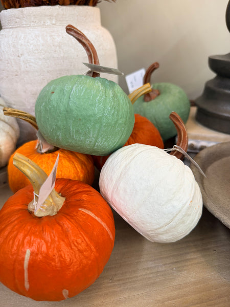 Poly Pumpkin/Stem (4 colors)