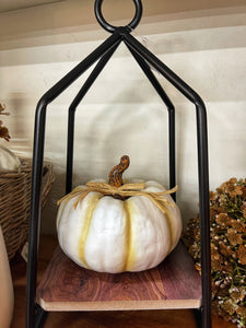 White Pumpkin Poly