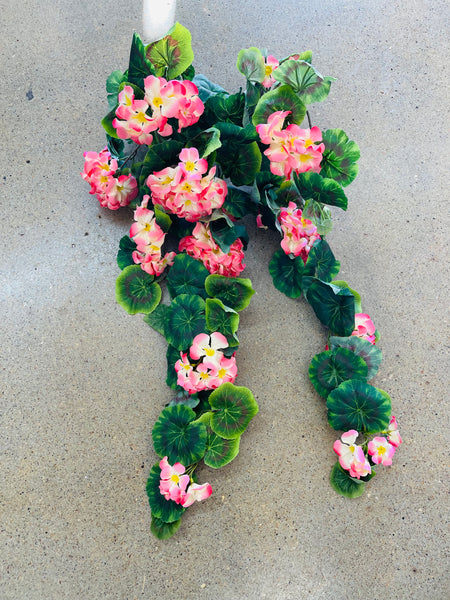 Hanging Geranium - Salmon