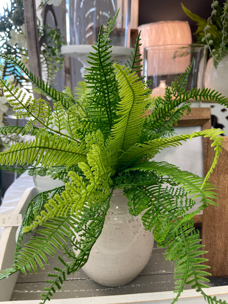 PL. NAT TOUCH MIX FERN PLANT 13"