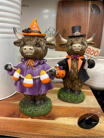 Halloween Highland Cows