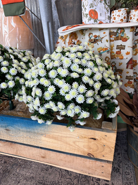 Mum Bush/Stake (Cream) - UV Protected