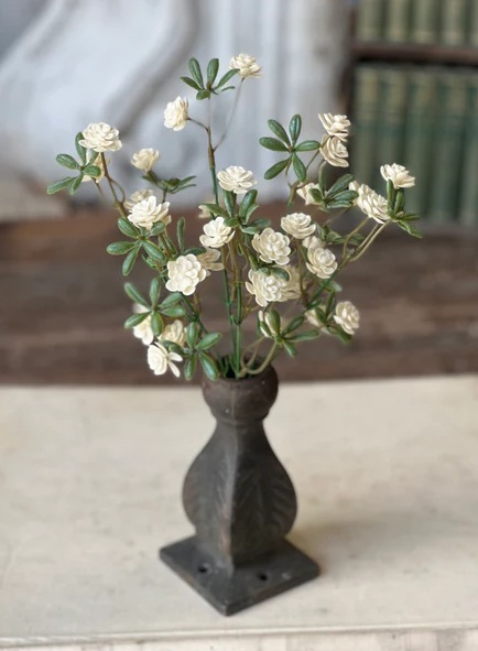 Alabaster Buds Collection