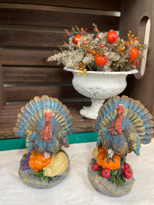 Poly Turkey w/Fruit