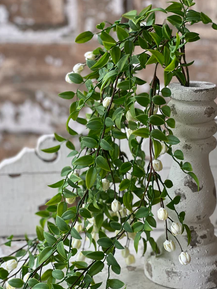 Billows Buds Collection - Cream