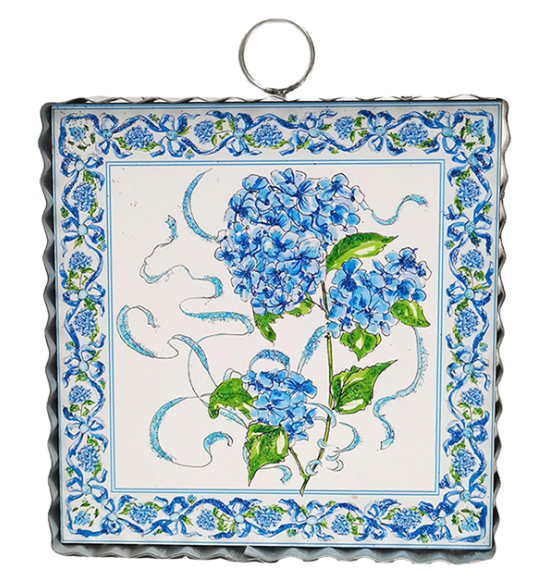 Beck's Wild Hydrangea Gallery