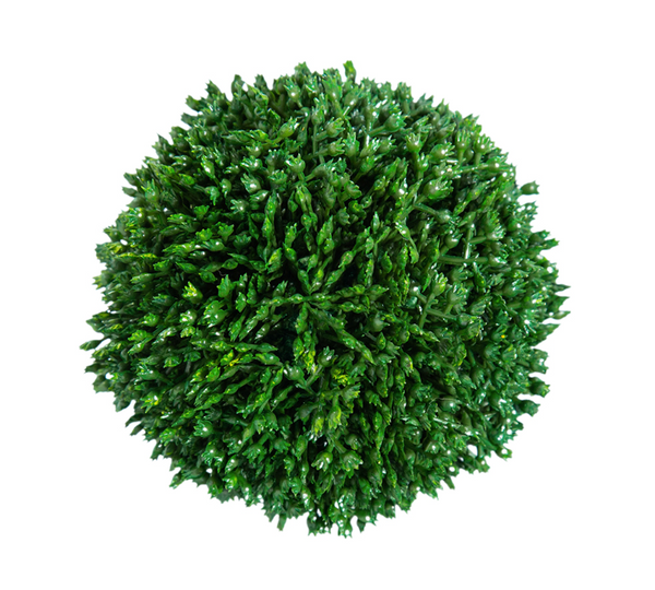 Boxwood Sphere