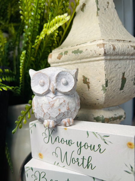 Whitewashed Resin Owls