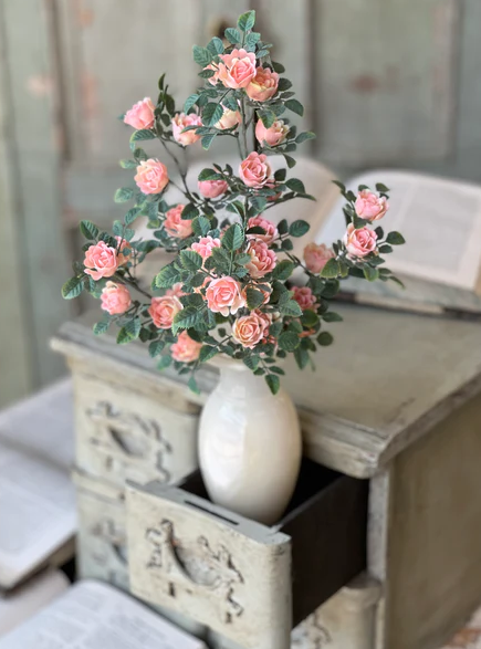 Calloway Rose Collection