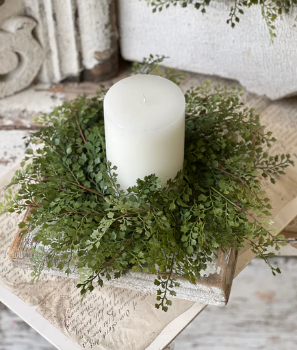 Damsel Fern Collection