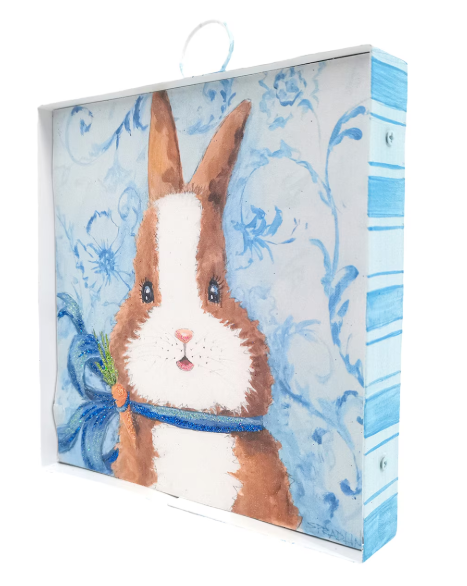 Baby Dutch Bunny Gallery