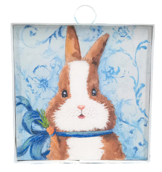 Baby Dutch Bunny Gallery