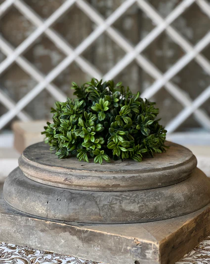 Galilee Boxwood Collection