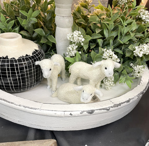 3.5" Lamb (sold individually)