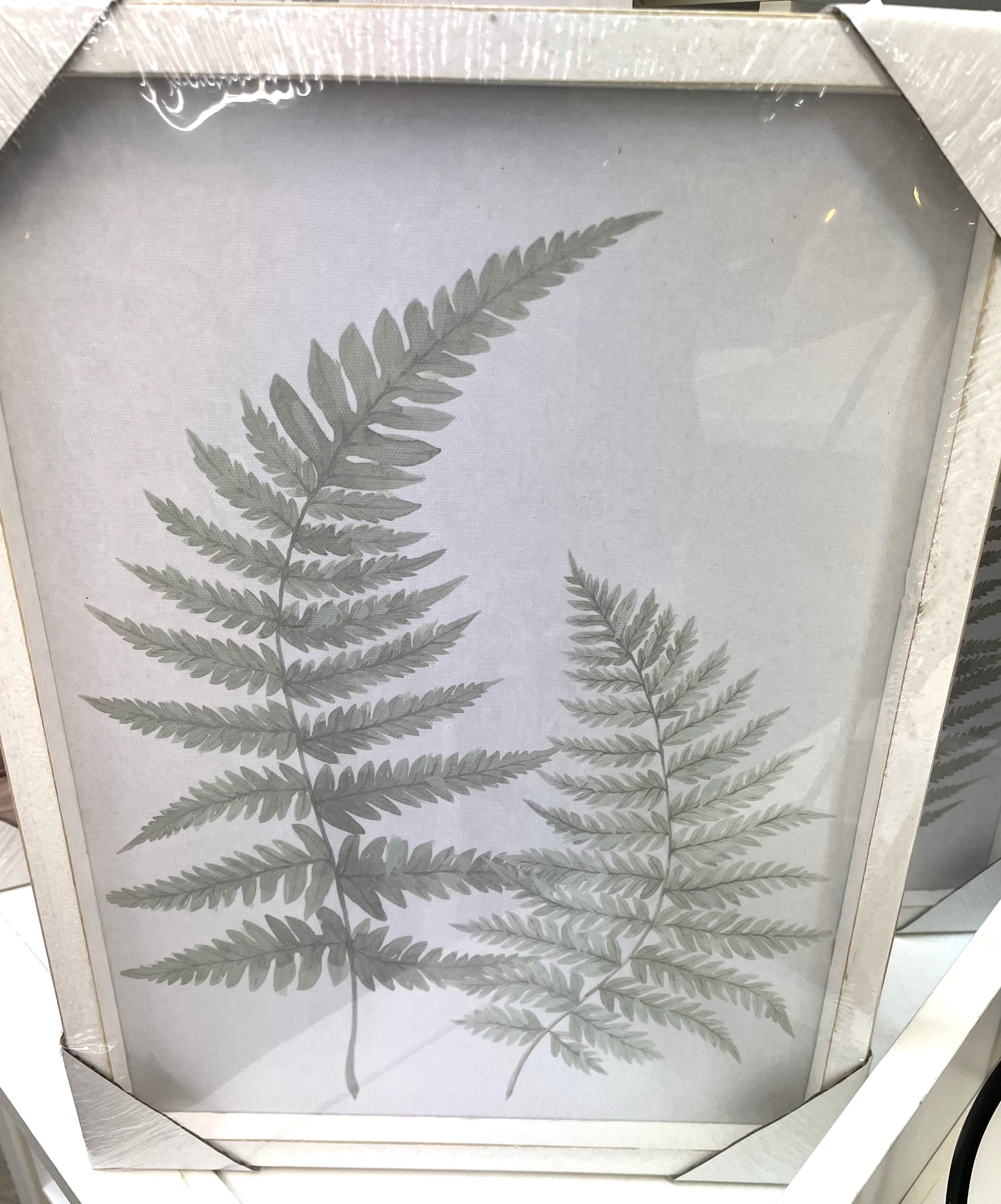CANVAS W/FERN BOTANICAL ART