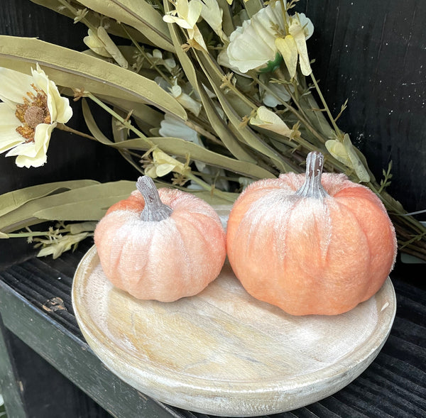 Orange Velvet Pumpkins