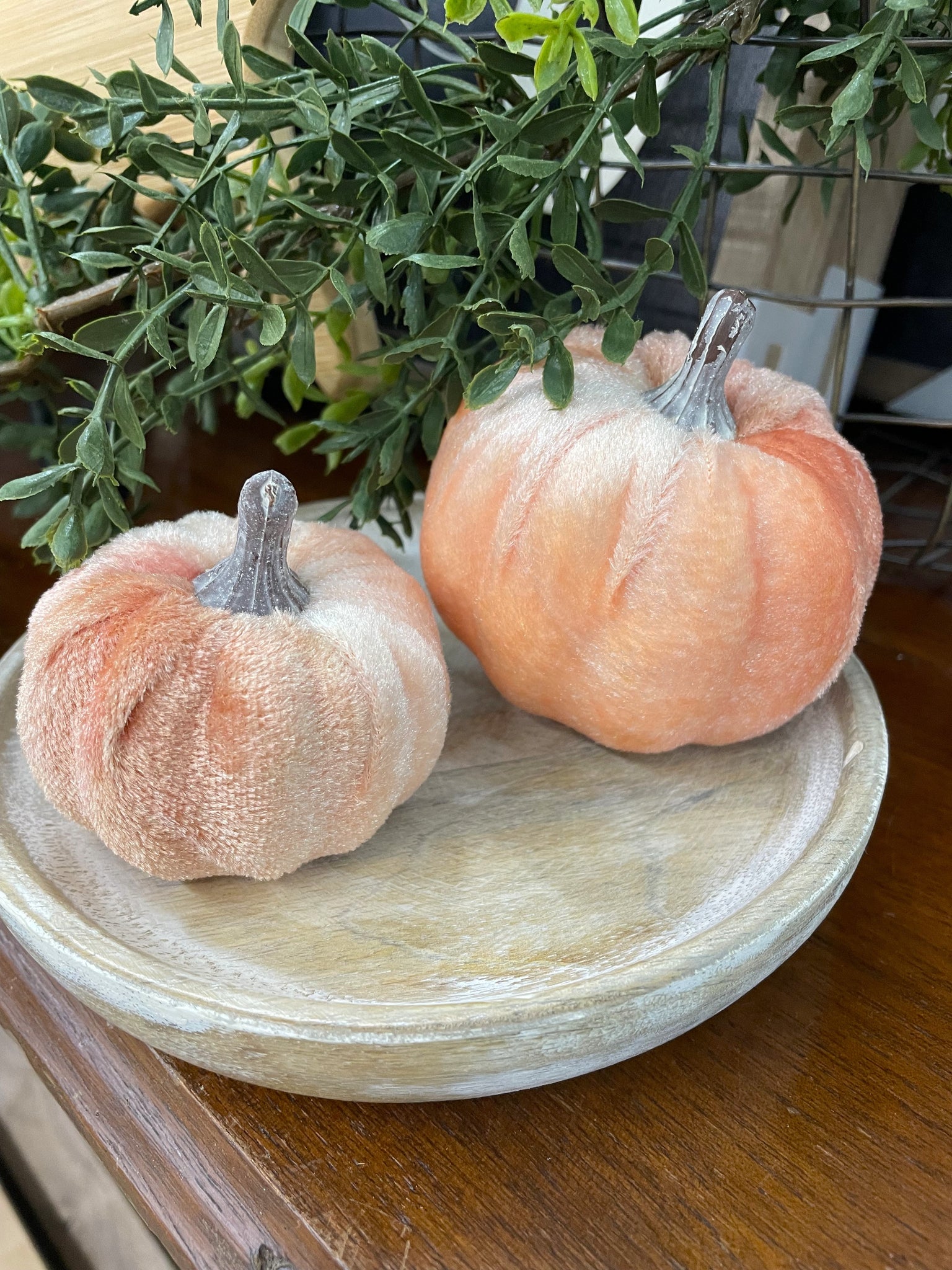 Orange Velvet Pumpkins