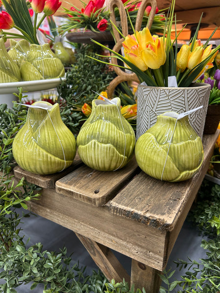 Cabbage Blub Vase (3 sizes)