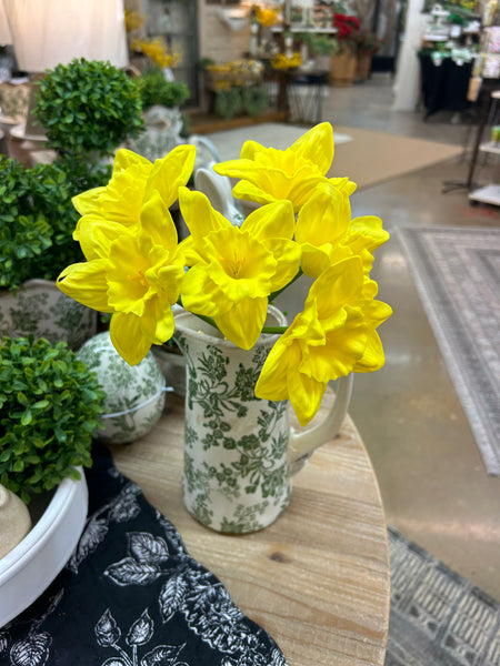 Daffodil Bundle X6 (2 colors)