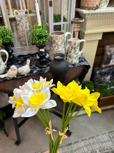 Daffodil Bundle X6 (2 colors)