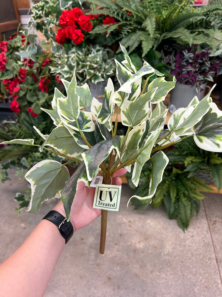 UV Garden Ivy Bush