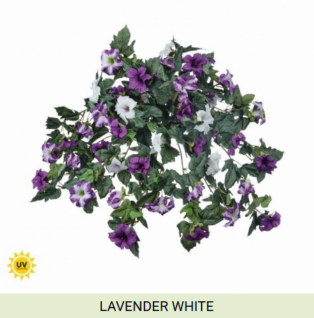 UV Hanging Petunia Plant