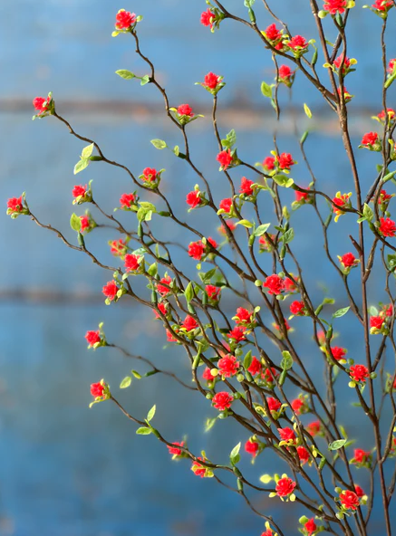 Love Buds Collection