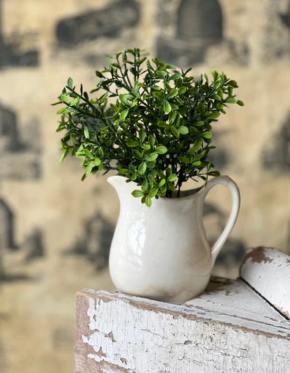 Lyric Boxwood Collection