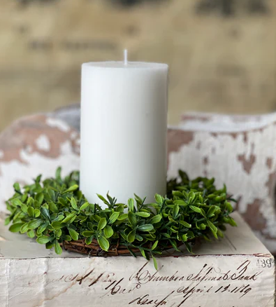 Lyric Boxwood Collection