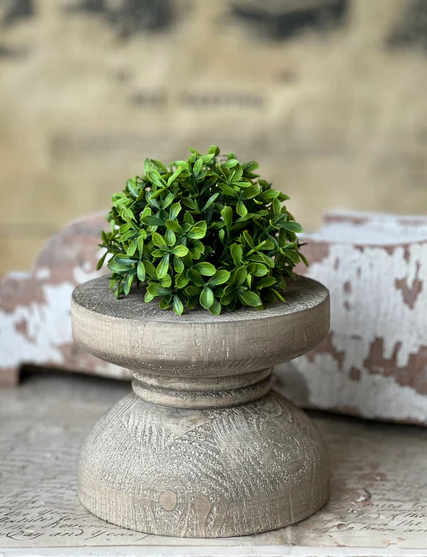 Lyric Boxwood Collection