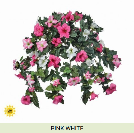 UV Hanging Petunia Plant