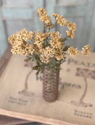 Fennel Flower Bundle (multiple colors)