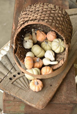 Fall's Folly Mini Pumpkins