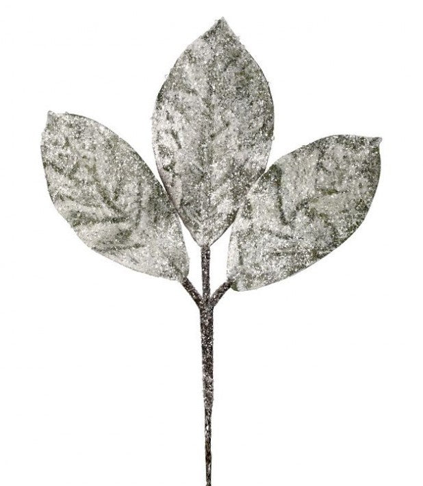 Snow Magnolia Leaf Collection