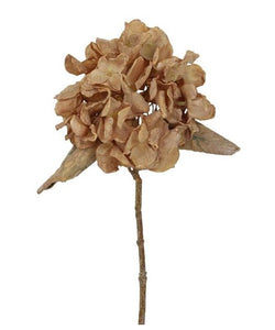 Dried Look Hydrangea Spray