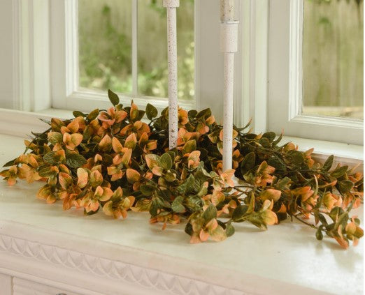 Mint Hanging Bush