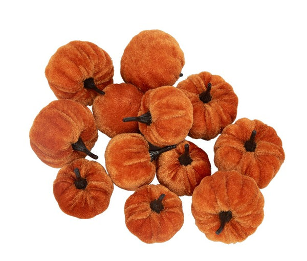 Velvet Pumpkins (multi colors)