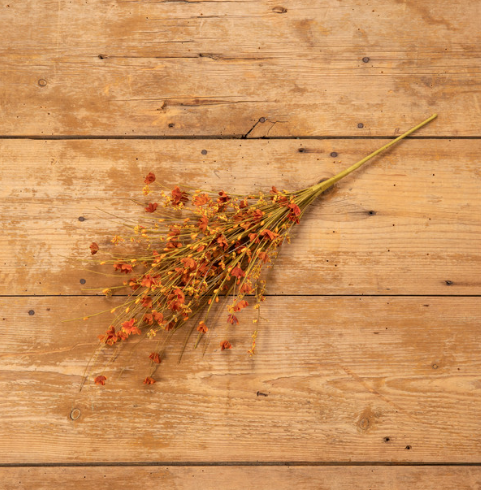 WILD FLOWER & HEATHER BUSH