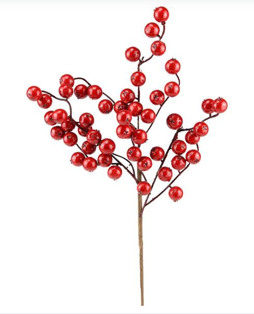 Waterproof Berry Pick