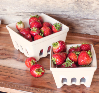 Berry Basket (2 sizes)
